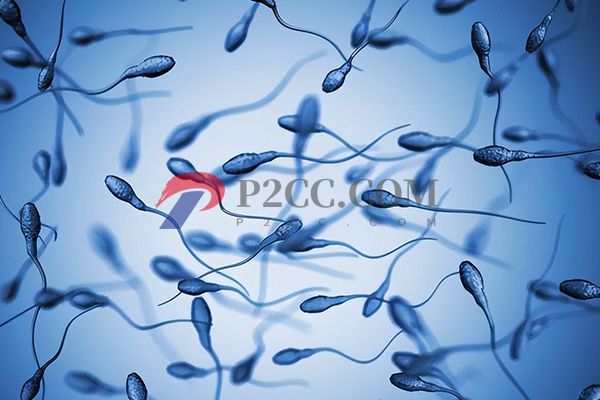 做人工授精男性精子要滿足標(biāo)準(zhǔn)