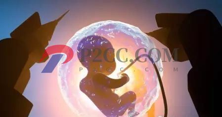 懷孕33周到36周，胎兒發(fā)育成什么樣呢？看看你家胎寶寶發(fā)育達標嗎！(圖1)
