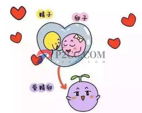更年期是懷孕的第一征兆嗎？事實(shí)上，這三種感覺比更年期來得早(圖1)