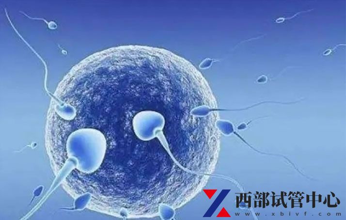 四川省婦幼保健院(圖4) sg (43).jpg
