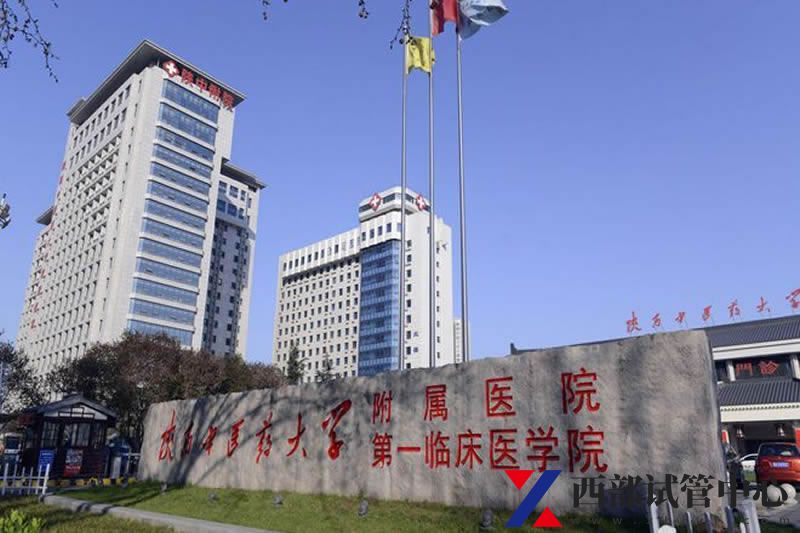 陜西中醫(yī)藥大學(xué)附屬醫(yī)院(圖4) 4.jpg