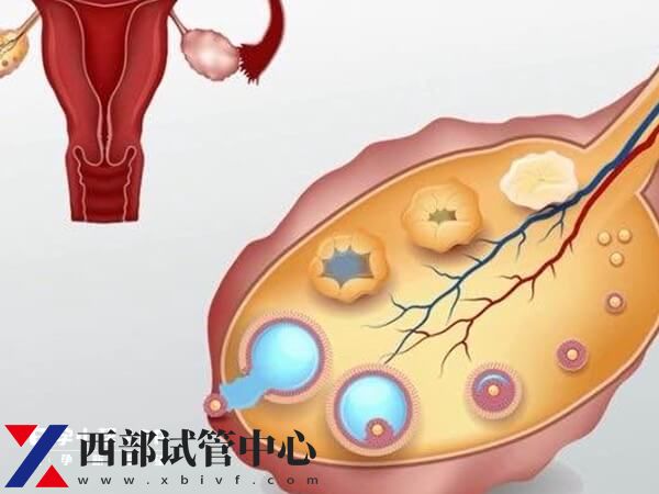 人工授精適合哪些人做