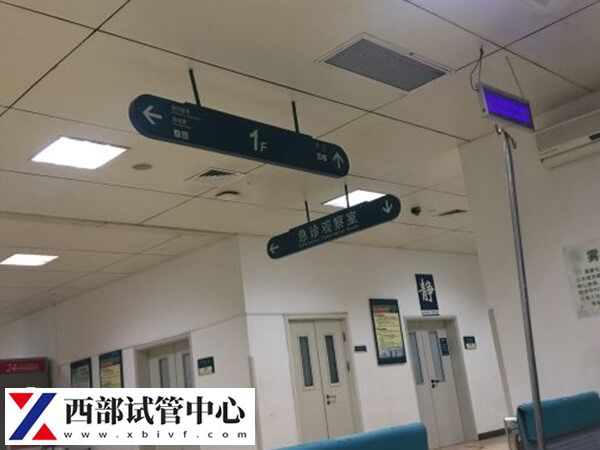 重慶哪家試管嬰兒技術(shù)最好