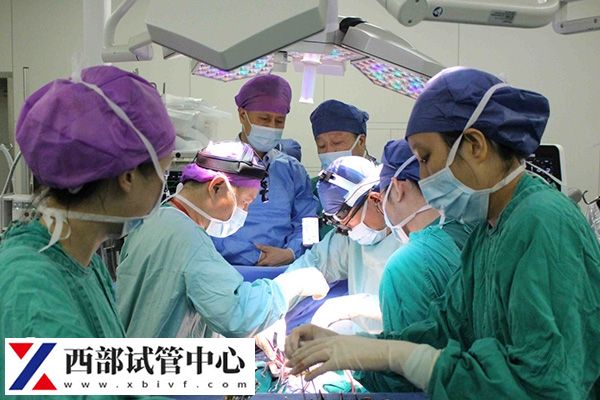 胚胎移植階段費(fèi)用大概在1萬(wàn)左右