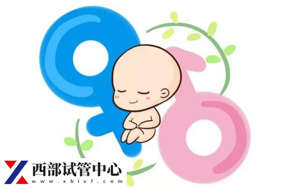 試管龍鳳胎存在的危險