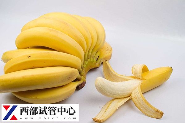 順產(chǎn)后吃香蕉有催眠作用