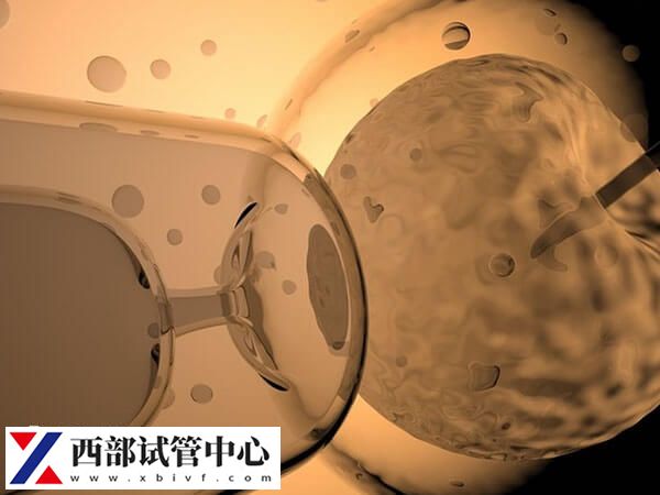 云南大學附屬醫(yī)院試管價格