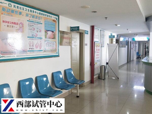 試管移植后要做些什么