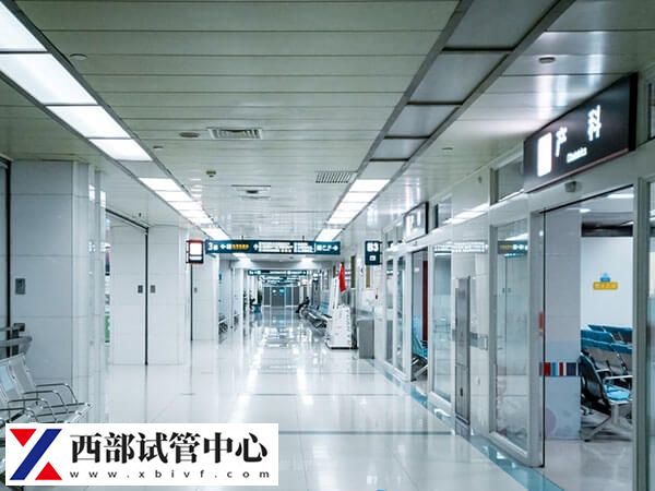 四川權(quán)威試管嬰兒有哪些