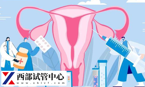 子宮內(nèi)膜異位癥影響女性生育