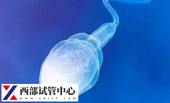 精子碎片率小于10%是正常范圍