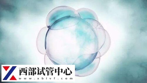 竇卵泡成熟會(huì)長到18毫米