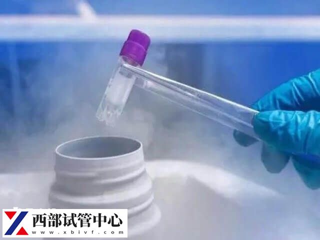 試管嬰兒移植凍胚的流程