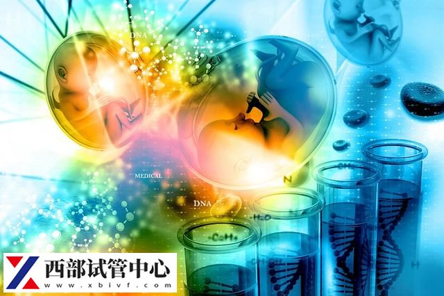 為更多人圓“父母夢”——新技術(shù)提高試管嬰兒成功率(圖1) 為更多人圓“父母夢”——新技術(shù)提高試管嬰兒成功率(圖1)