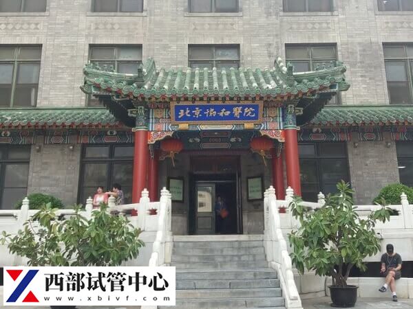 試管成功率多少