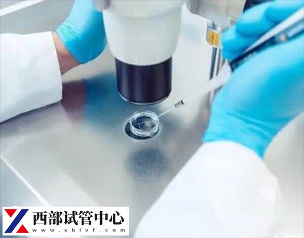 三代試管嬰兒需要對(duì)胚胎進(jìn)行篩查