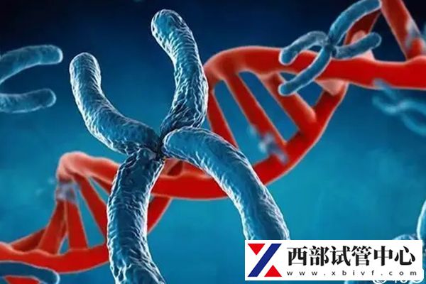基因異常可做三代試管