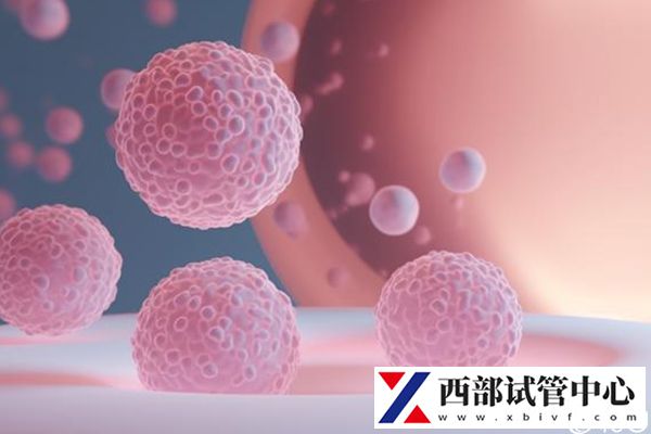 做試管嬰兒多少錢(qián)要綜合考量