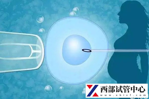 蘭大二院試管成功率不低