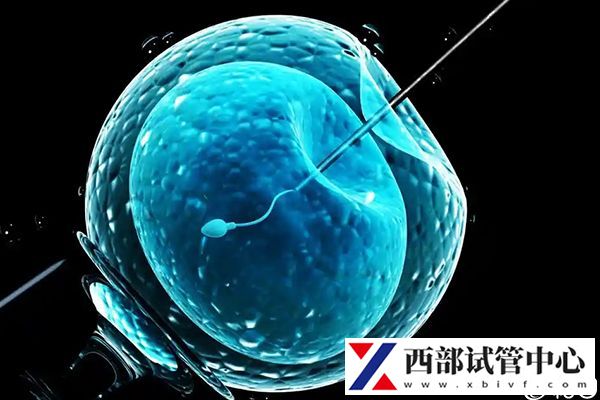 不同試管手術(shù)費用有差異