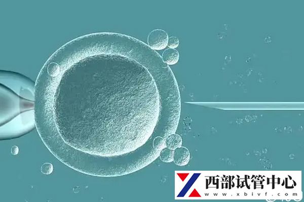 不同試管技術(shù)其臨床妊娠率有差異