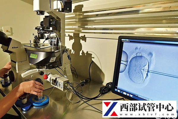 試管一次成功助孕開銷最低