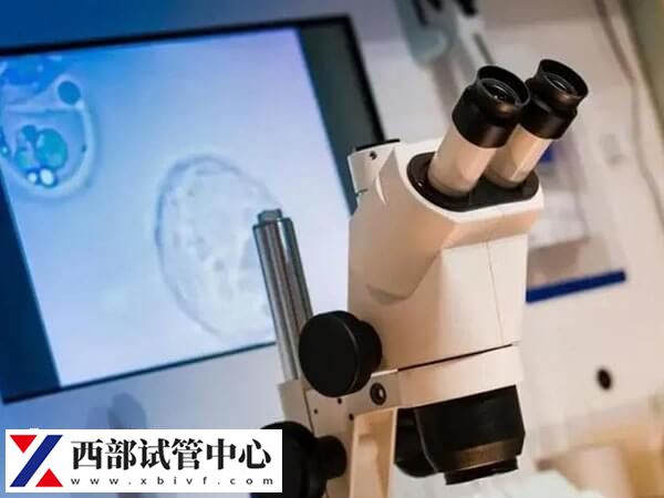 做試管從檢查到成功的過(guò)程