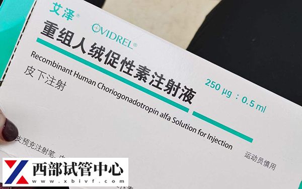 夜針又稱為破卵針