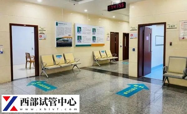 部分醫(yī)院在取卵后通知一周后看結(jié)果