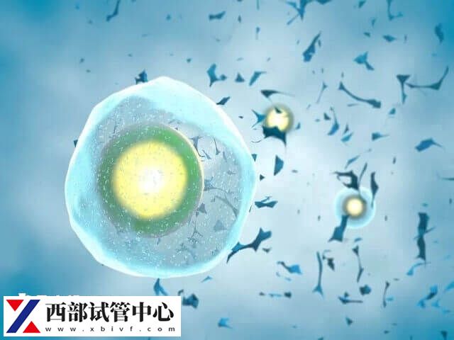 試管移植失敗要注意調(diào)整心態(tài)
