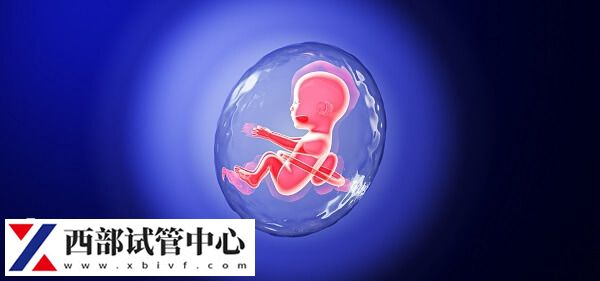 試管嬰兒術(shù)前AMH檢查是什么?