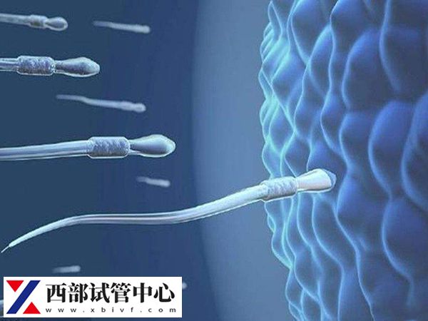 供精試管一次不成功能用原來(lái)的供精