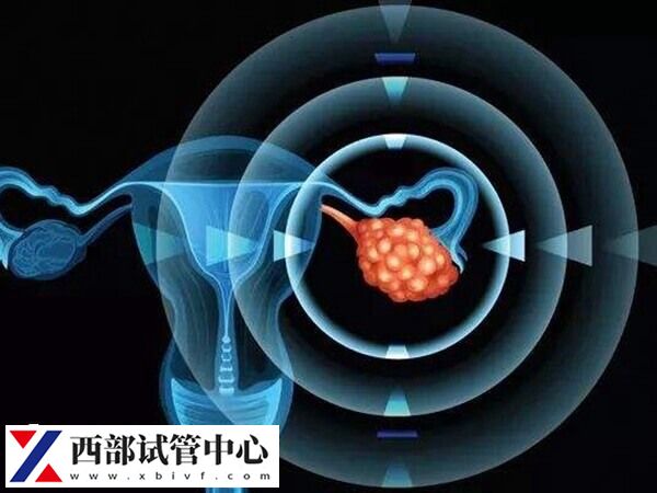 激素水平正常才能維持胚胎著床