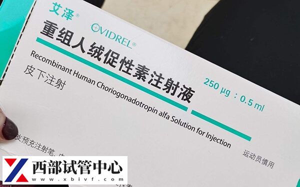 夜針艾澤是注射用重組人絨促性素