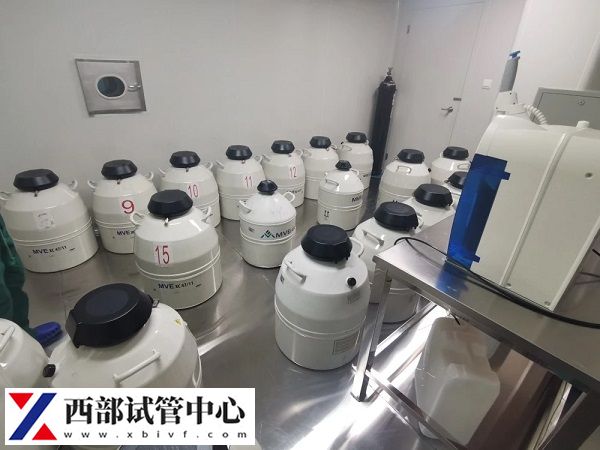 剩余的胚胎可以冷凍保存
