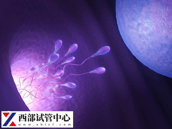 貴州有兩家公立醫(yī)院開展了三代試管嬰兒技術(shù)