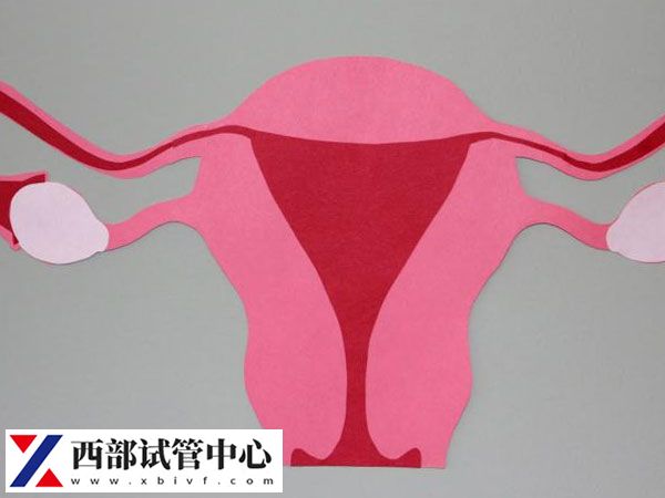 當(dāng)FSH數(shù)值高于10通常表明卵巢儲備功能下降