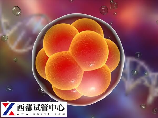 胚胎質(zhì)量一般也可以進行移植